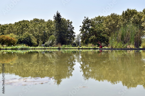 See im Botanischen Garten von Bordeaux