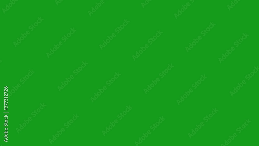 Photo album motion graphics with green screen background