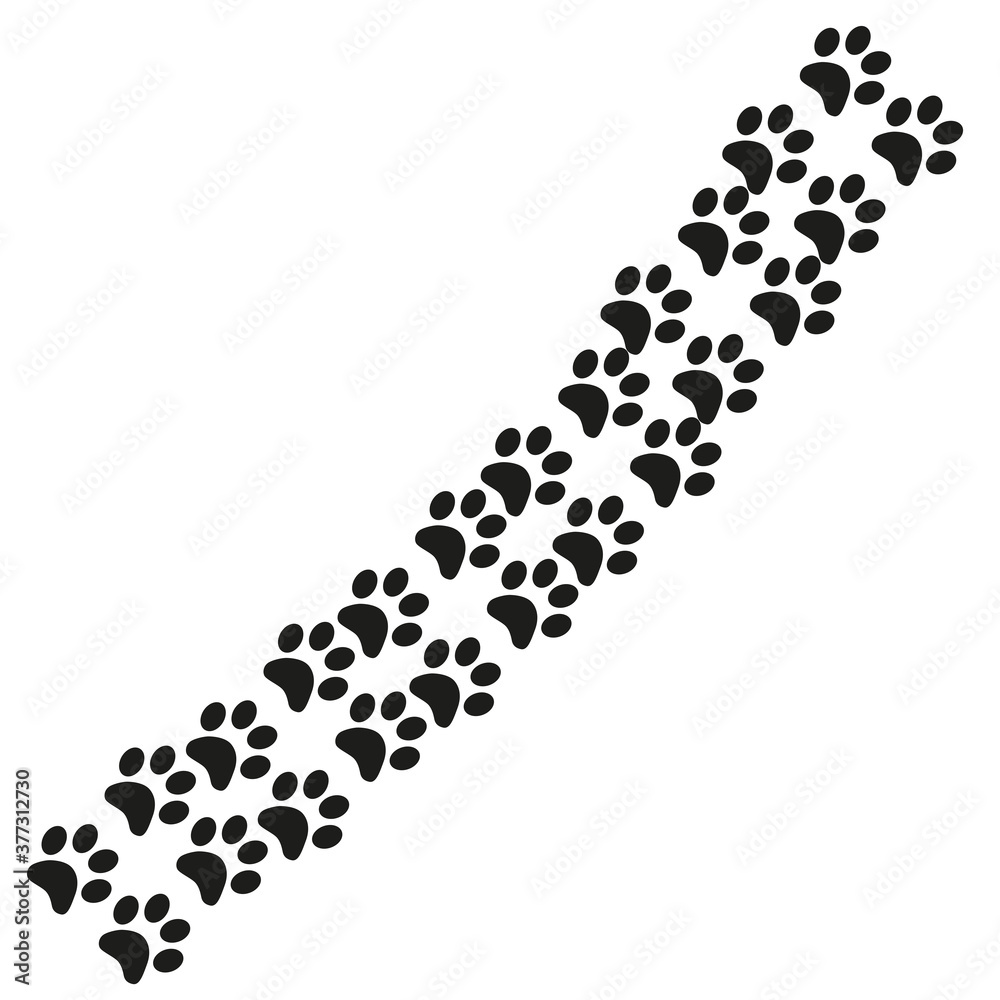 Footpath trail of animal. Dog or cat paws print isolated on white background. Footpath trail of animal. Dog or cat paws print isolated on white background.