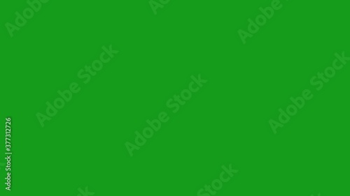 Photo album motion graphics with green screen background