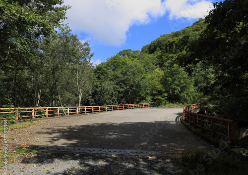 赤い手すりの橋と緑のある風景