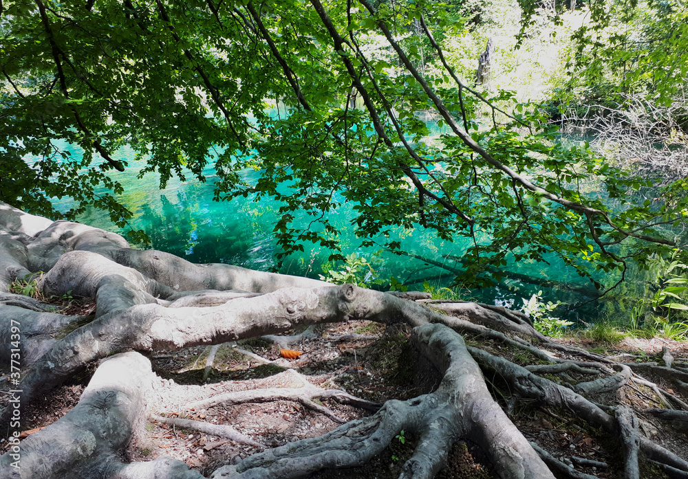 Fototapeta premium Unexpected view discovered at Plitvice National Park. 