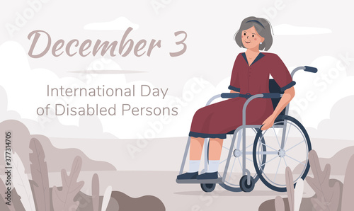International Day of Persons with Disabilities December 3. Flat vector illustration of an elderly woman in a wheelchair. The concept of a banner or postcard in pink colors.