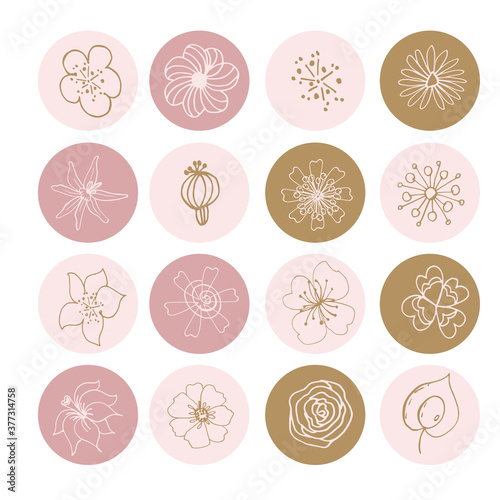 Flowers flat line icons. Graceful sign boards for a flower shop. Covers stories, covers. Icons