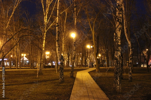 Donetsk night park with birches