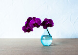 Purple orchid in glass vase on white background