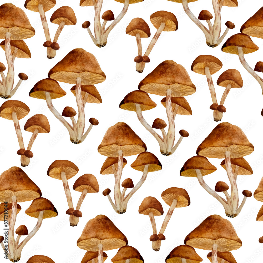 watercolor hand drawn seamless pattern poisonous dangerous mushroom illustration of webcap fungi. Brown ochre caps dark dry leaves in fall autumn forest wood woodland nature Halloween scrapbook design watercolor hand drawn seamless pattern poisonous dangerous mushroom illustration of webcap fungi. Brown ochre caps dark dry leaves in fall autumn forest wood woodland nature Halloween scrapbook design
