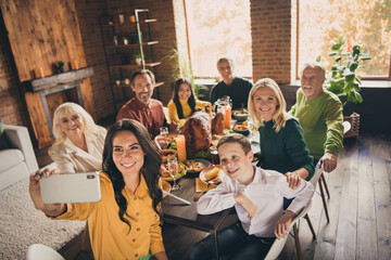 Photo of full family gathering eight people woman mother hold telephone make shoot selfie harmony peaceful day served dinner big table turkey generation in home evening living room indoors