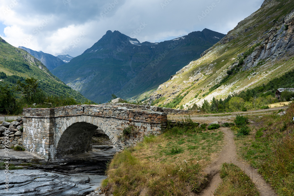 bridge and mountain in french alps