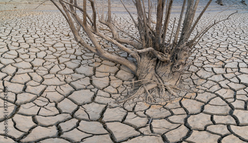 Land cracked by draught in the Riaño reservoir (embalse), Leon province, Castilla y Leon, Spain, Europe photo