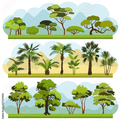 Set of different palms. Collection of various types and forms of tropical plants. Ecology vector background concept. Vector illustration.