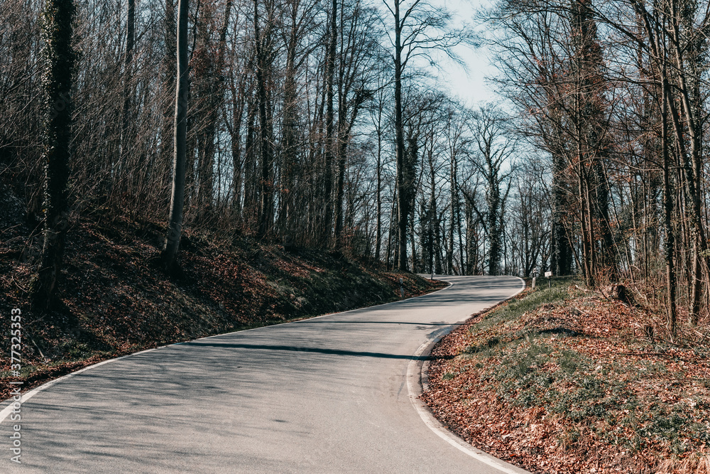 Fototapeta premium Forest road in a town in Germany