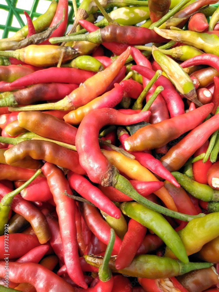 Indian Red Chillies 