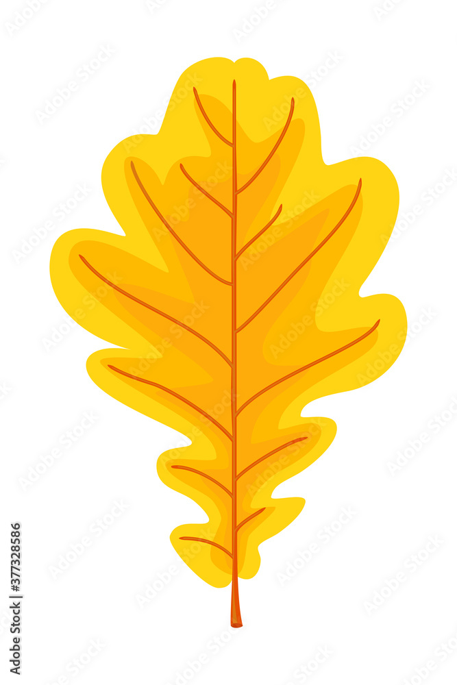 Obraz premium Cartoon yellow oak leaf