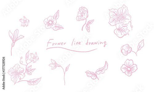 Hand painted plant line drawing background material