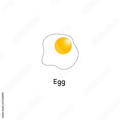 Fried eggs. Chicken egg yolk vector. Simple image of a broken egg