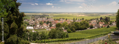 the village of Avize  in champagne region  france