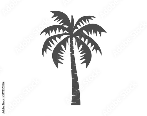 Silhouette palm tree  Palm tree icon vector isolated on white 