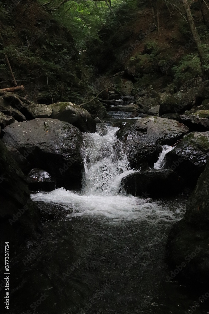 Fototapeta premium 水の音が聞こえる