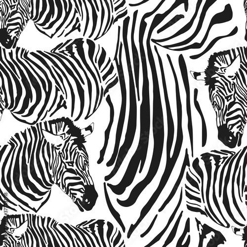 Zebra seamless patter. Black and White stripped print. Vector