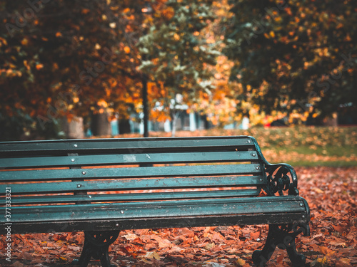 Autumnal, fall colors in London park. Park bench with orange and yellow leaves on the ground