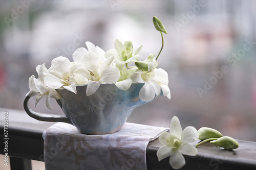 Still life macro photography with white orchid flowers in a gravy boat in a balcony railing 