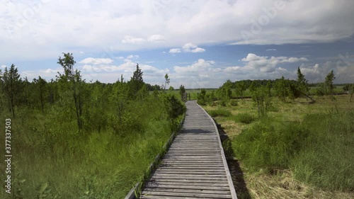 Wallpaper Mural Path through the swamp from the boards Torontodigital.ca