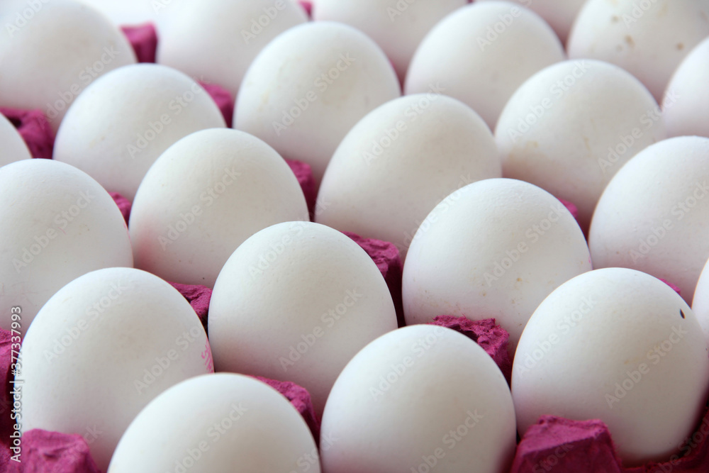 fresh and organic eggs fresh and organic eggs