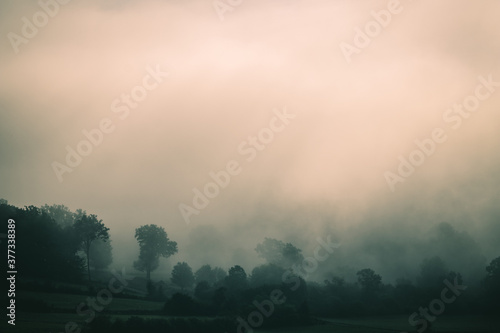 Foggy autumn landscape, sad feelings in the nature. Background with dark, soft colors. Bad mood, depression concept