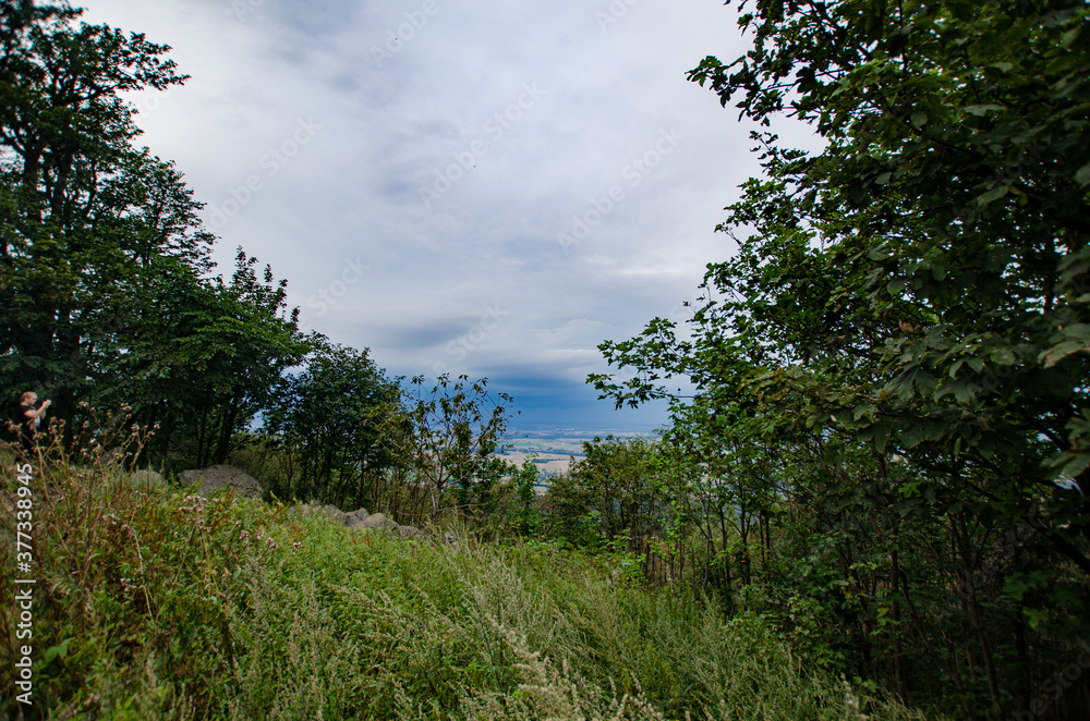
view of the clouds above the city in the forest