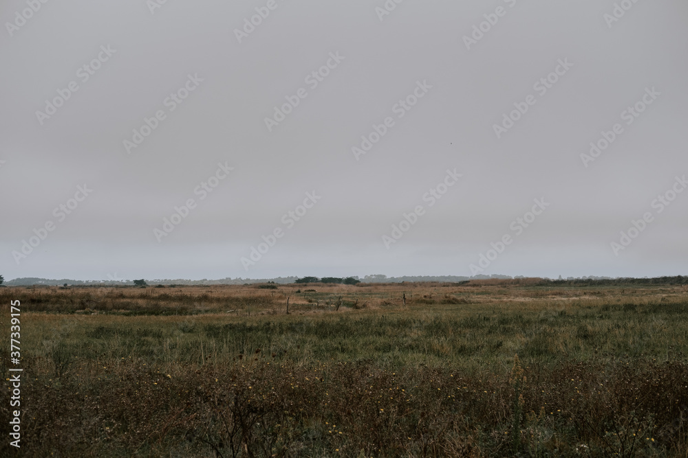 moody moor landscape with cloudy sky