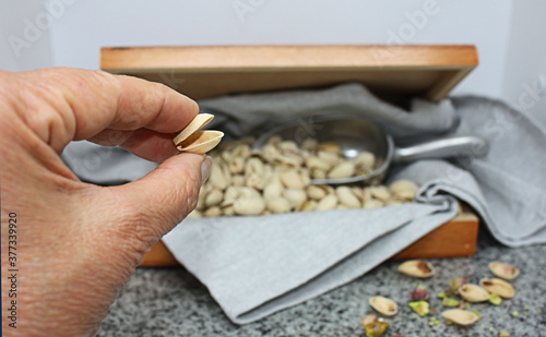 pistachio_nuts_an_empty_shell