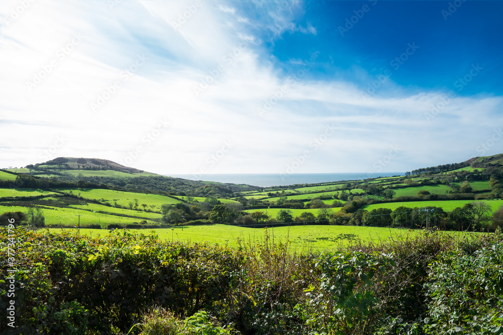 Beautiful rural landscape with blue sky, green hills and meadows, and sea on the horizon. Autumn or winter sunny day. Jurassic Coast. England.