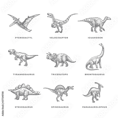 Prehistoric Dinosaurs Sketch Signs, Symbols or Illustrations Set. Hand Drawn Vector Ancient Reptiles Silhouttes Collection. Doodle Style Drawings Bundle.