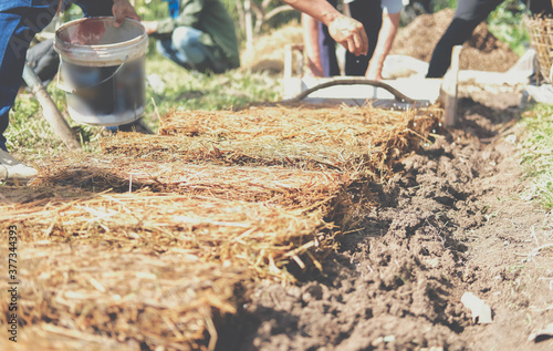 Wallpaper Mural farmer growing straw mushroom on rice straw Torontodigital.ca