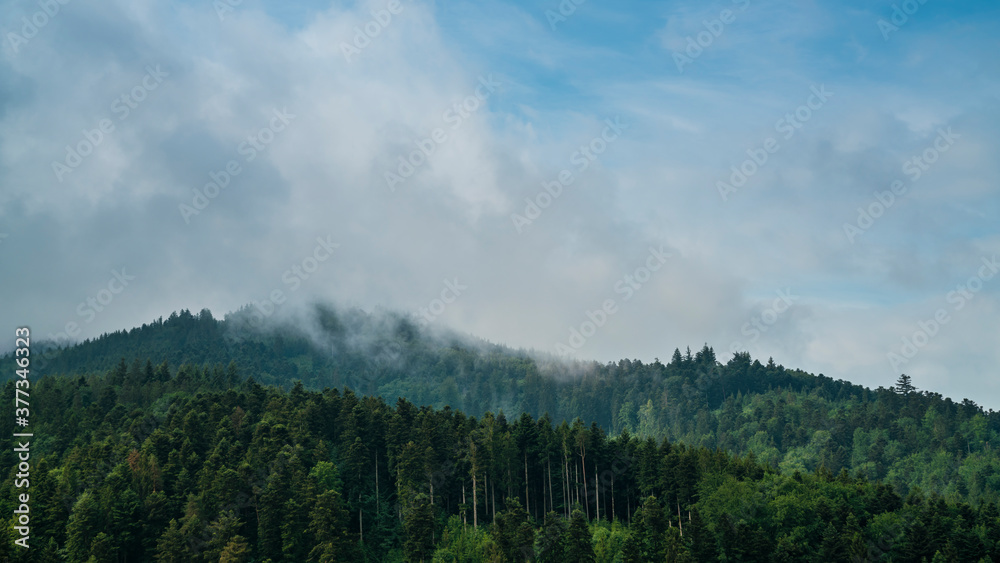 Germany, Black Forest Schwarzwald view above wide green forested mountains with mystical foggy clouds and blue sky