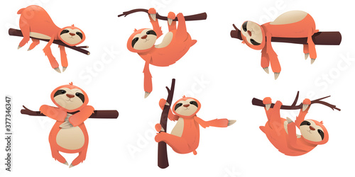 Cartoon cute sloth. Poze of sloth