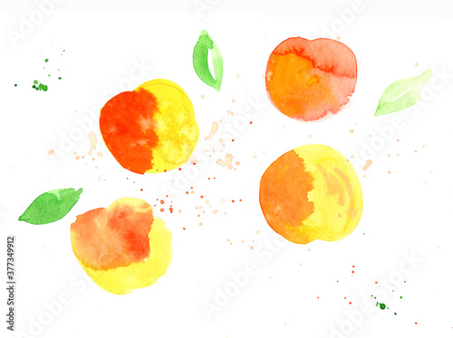 Fototapeta Naklejka Na Ścianę i Meble -  Fresh peach. Hand drawn Watercolor food illustration.