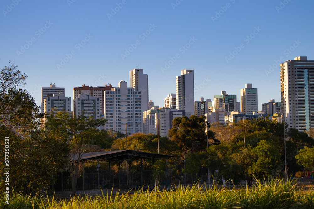 Buildings on the horizon behind trees Buildings on the horizon behind trees