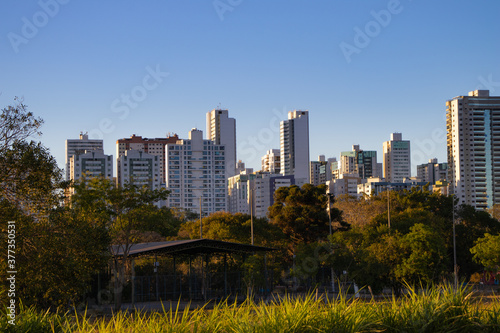 Buildings on the horizon behind trees