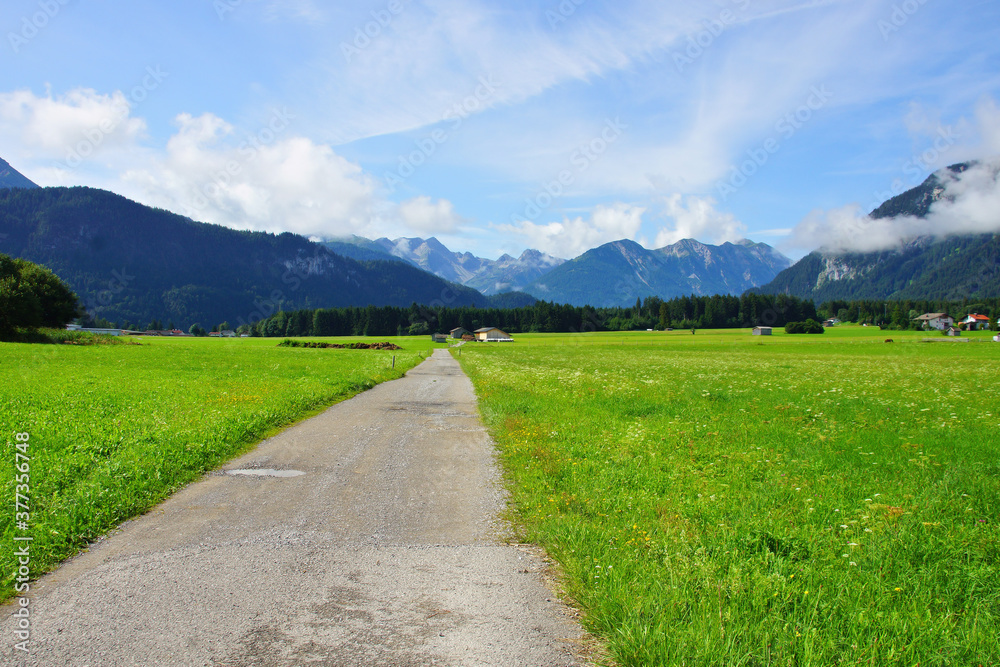 Berge, Wiesen und Feldweg im Sommer bei Reutte und Wängle im Inntal
