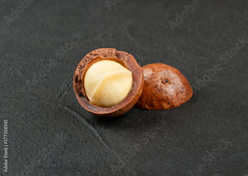 Half of macadamia nut photo