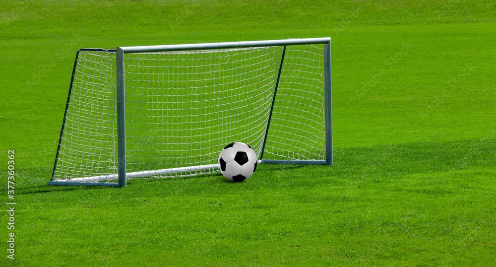 Obraz premium Fussballtor auf einem Fussballrasen