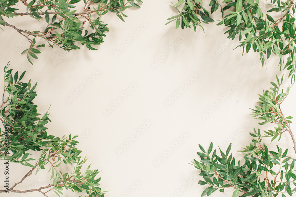 Round frame border of pistacia twigs with green leaves on beige background. Flat lay, top view minimal floral copy space mockup background. Round frame border of pistacia twigs with green leaves on beige background. Flat lay, top view minimal floral copy space mockup background.