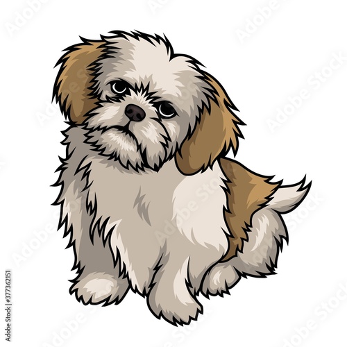 shih tzu dog mascot cartoon