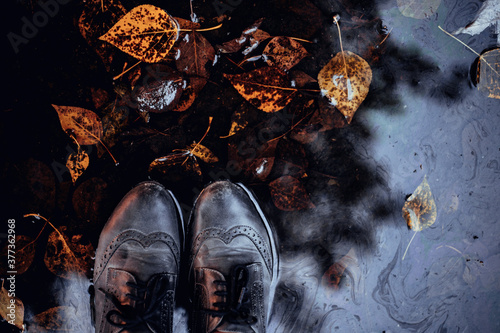 Top view on feet in old leather oxford shoes on a background of autumn puddle with foliage.