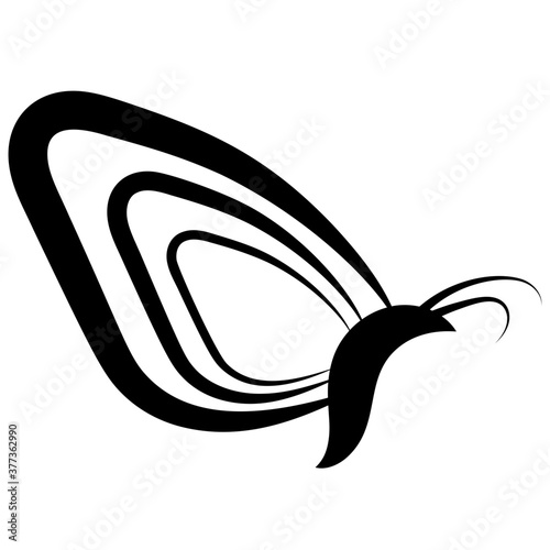 Butterfly Shape