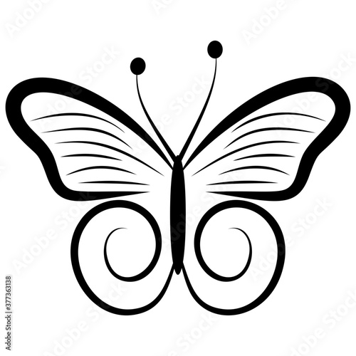 Butterfly Shape
