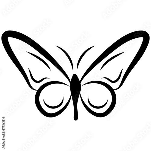 Butterfly Shape