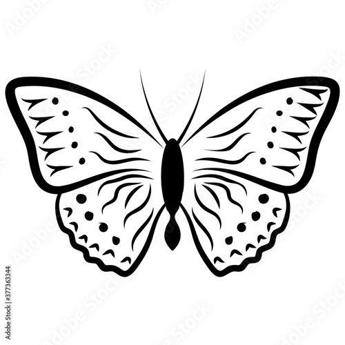 Butterfly Shape